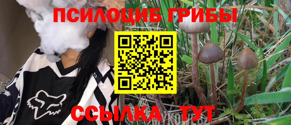 Саранск  цена наркотик  Вход с VPN  Псилоцибиновые грибы Magic Shrooms 